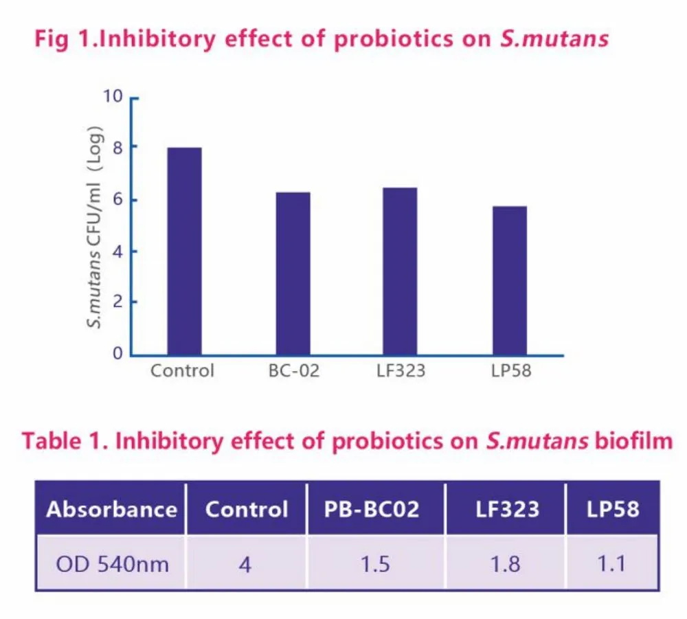product-1000-901 product-1000-901